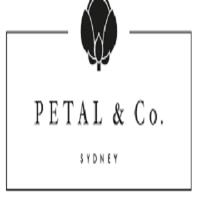 Petal & Co. image 1