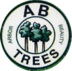 AB Trees - All rights reserved image 3