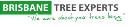 Brisbane Tree Experts logo