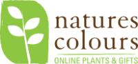 Natures Colours Nursery image 1