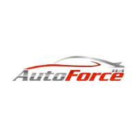 Auto Force WA image 1