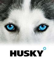 Husky image 1