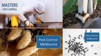 Masters Pest Control image 2