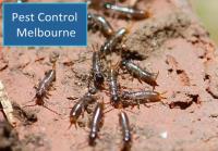 Trusted Pest Control image 6