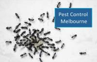 Masters Pest Control image 6