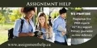 Assignment Help - Business Assignment Help image 2