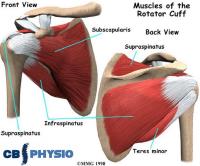 CB Physiotherapy image 9