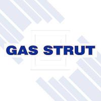 Gas Strut Repairs image 2