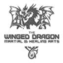 The Winged Dragon logo
