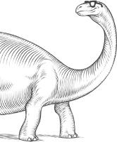 Eduzaurus image 3