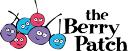 Berry Patch Preschool and Long Day Care Centre logo