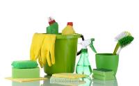 The Clean & Tidy Cleaning Services image 1