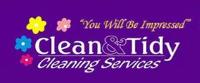 The Clean & Tidy Cleaning Services image 2