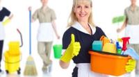 The Clean & Tidy Cleaning Services image 3