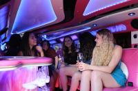 Wicked Limousine Hire Perth image 11