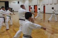 Seido Karate Bundoora image 6