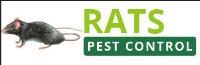 Rats Pest Control Perth image 1