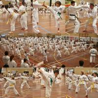 Ballajura First Taekwondo Martial Arts image 2