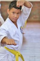 Thornlie First Taekwondo Martial Arts image 5