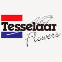 Tesselaar Flowers - Melbourne logo