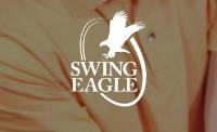 Swing Eagle image 1