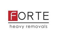 Forte Heavy Removals image 7