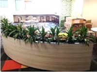 Inscape Indoor Plant Hire in Melbourne image 1