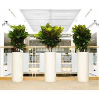 Inscape Indoor Plant Hire in Melbourne image 2