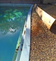 Mr Fibreglass Pool Resurfacing image 5