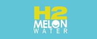 H2Melon image 3
