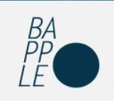 Bapple Website Design image 2