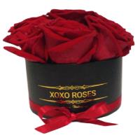 XOXO ROSES image 1