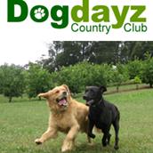 Dogdayz Country Clubs image 8