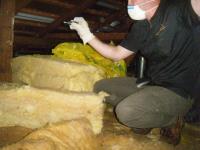 Building and Timber Pest Inspections - Sydney image 3
