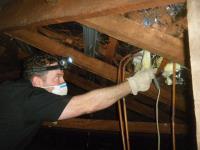 Building and Timber Pest Inspections - Sydney image 4