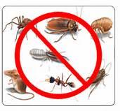Be Pest Free image 5