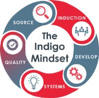 Indigo HR image 10