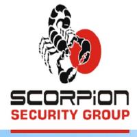 Scorpion Security Group image 1
