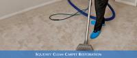 Squeaky Clean Carpet Restoration image 3