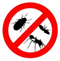 Pest Control Canberra image 1