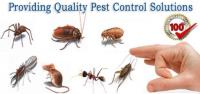 Pest Control Canberra image 2