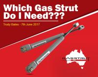 Gas Strut Australia image 2
