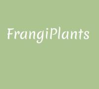 Frangiplants image 1