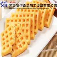 Hebei Saiheng Food Processing Equipment Co.,Ltd image 22