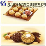 Hebei Saiheng Food Processing Equipment Co.,Ltd image 26