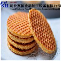 Hebei Saiheng Food Processing Equipment Co.,Ltd image 27
