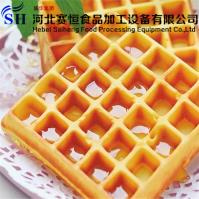 Hebei Saiheng Food Processing Equipment Co.,Ltd image 24