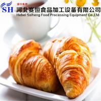 Hebei Saiheng Food Processing Equipment Co.,Ltd image 51