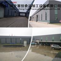 Hebei Saiheng Food Processing Equipment Co.,Ltd image 10