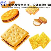 Hebei Saiheng Food Processing Equipment Co.,Ltd image 4